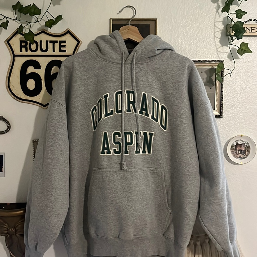 colorado aspen brandy melville hoodie